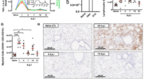 new research on inflammation