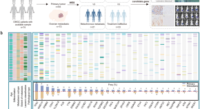 research articles on evolutionary genetics