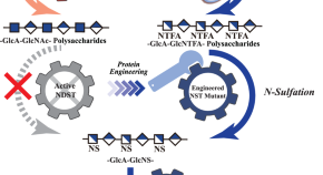 research topics in industrial microbiology