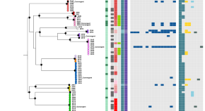 research topics in the medical field