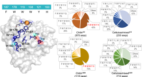 research paper in inorganic chemistry