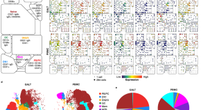 research papers on image processing technology