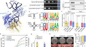 research articles on evolutionary genetics