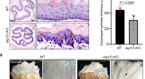 research article news