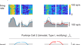 research paper on reflex action research paper on reflex action