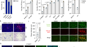 news articles on cancer research