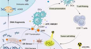 essay titles about cancer