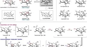 organic compounds research topics