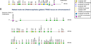 bioinformatics project ideas