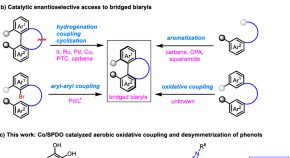 essay topics on organic chemistry