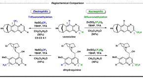 essay topics on organic chemistry