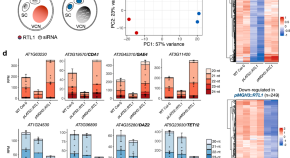 research topics on plants research topics on plants