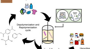 research paper on environmental biotechnology pdf