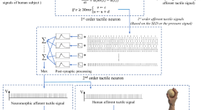 research paper on reflex action