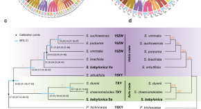 evolution research papers