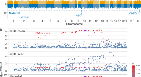 dna latest research papers