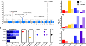 current research on alzheimer's disease