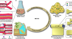 presentation on environmental biotechnology topics