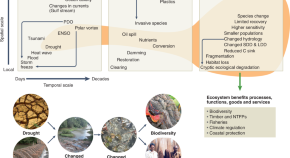 wetland biodiversity research paper