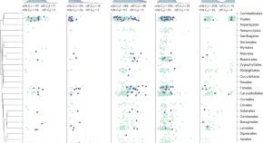 new research topics in botany