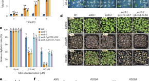 plant research articles