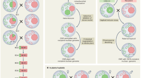 best research topics for biotechnology