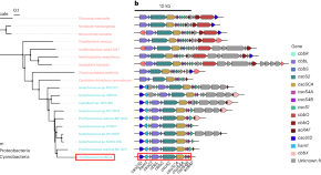 plant research articles