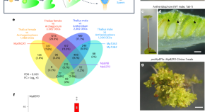 plant research articles