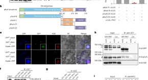 plant research articles