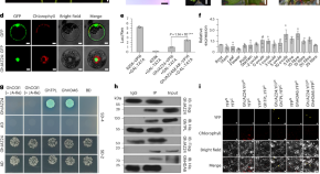 plant research articles