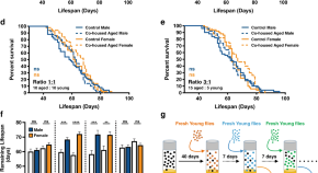 npj Aging