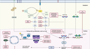 breast cancer research treatment impact factor