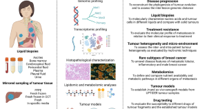 breast cancer research treatment impact factor