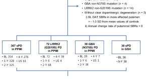 parkinson's disease research paper outline