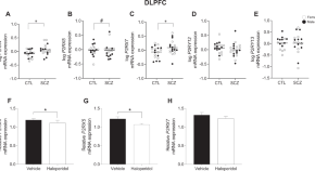 articles about schizophrenia research