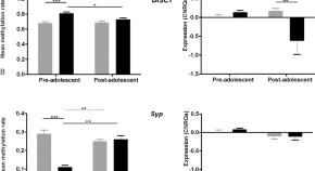 articles about schizophrenia research