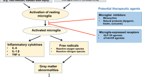 empirical research articles on schizophrenia