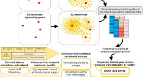 research books on schizophrenia