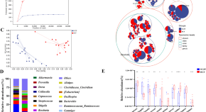 latest research on schizophrenia