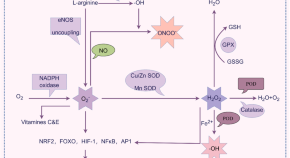 latest research on schizophrenia