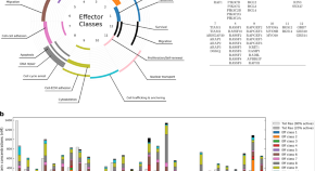 Npj Systems Biology And Applications