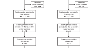 research topic in water resources