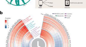 research on the laboratory