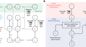 research papers on biomedical engineering