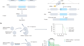 crispr gene editing research paper