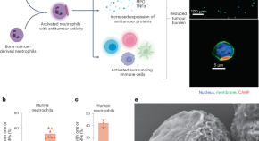 research papers on biomedical engineering