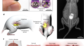 research papers on biomedical engineering