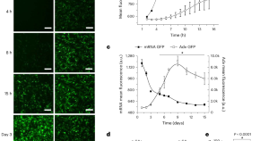 new research cancer stem cells