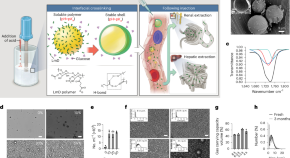 research on biomedical engineering