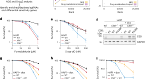 research articles ncbi